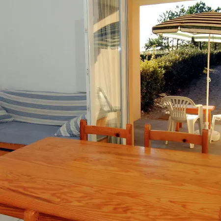 Beautiful With Garden In Ocean Apartment